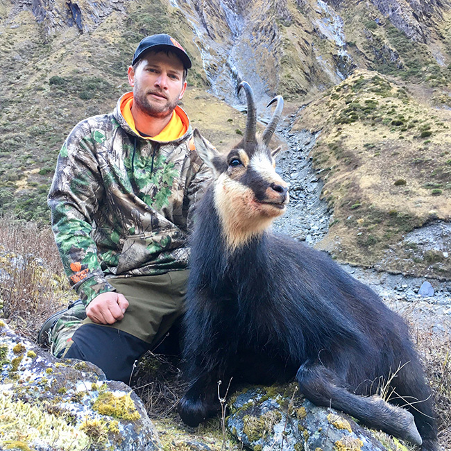 Chamois  New Zealand Deerstalkers Association Inc