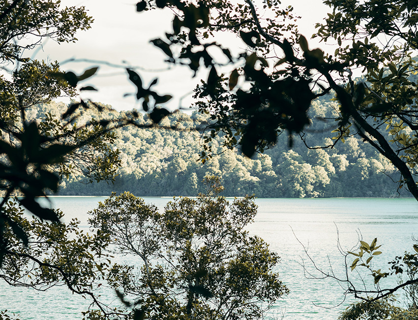 New Zealand National Parks - West Coast