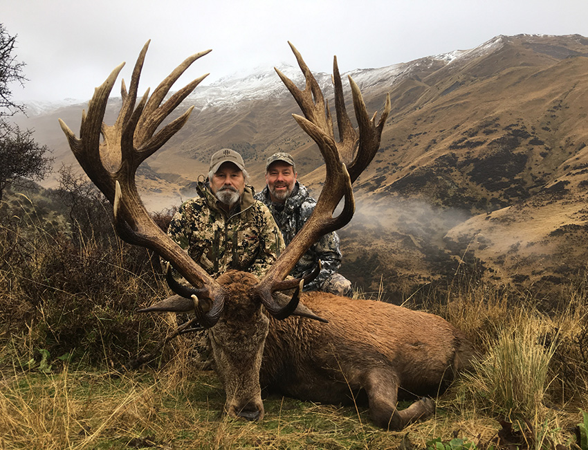 NZHS_Otago red stag